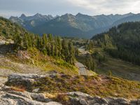 a person on a bike riding down a mountain trail near the forest and looking at the mountains