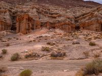 a desert view, showing the layers in the rock face and shrub growing on either side