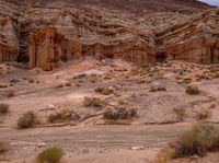 a desert view, showing the layers in the rock face and shrub growing on either side