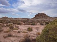 a dirt field with a rocky outcropping and plants in the background with rocks in the distance