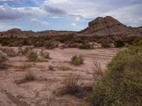 a dirt field with a rocky outcropping and plants in the background with rocks in the distance