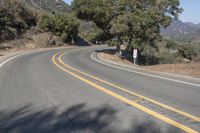 California Mountain Pass: Nature with Yellow Foliage