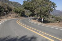 California Mountain Pass Nature with Yellow Foliage