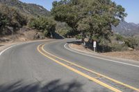 California Mountain Pass Nature with Yellow Foliage