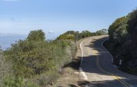 a person walking up a road with an ocean in the background, with the road curving around them and trees on either side