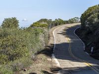 a person walking up a road with an ocean in the background, with the road curving around them and trees on either side