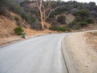 two cyclists riding down a winding mountain road in the woods between two other cyclists, one on the left of which is an obstacle course