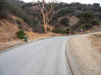 two cyclists riding down a winding mountain road in the woods between two other cyclists, one on the left of which is an obstacle course