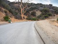 two cyclists riding down a winding mountain road in the woods between two other cyclists, one on the left of which is an obstacle course