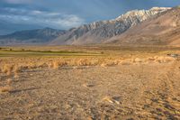 California Mountain Road: Tracks Through the Grass