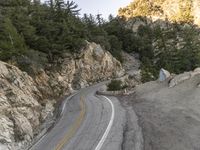 the road is curving past a steep cliff side and green pine trees grow on both sides