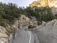 the road is curving past a steep cliff side and green pine trees grow on both sides