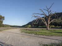 California Mountain Road Landscape under Clear Sky