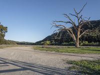 California Mountain Road Landscape under Clear Sky