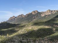 the mountains with vegetation on them are in the wilderness of california, where mountain ranges have been cleared