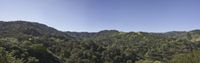 a wide view of some hills and trees in the mountains with blue sky in the background