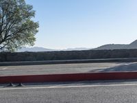 two birds walk on the asphalt in a parking lot with mountains in the background behind them