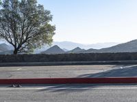 a small bird walks across an empty parking lot near the mountains and sky with a few trees