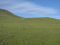 California Nature: Landscape and Asphalt Road