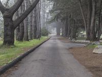 California Nature Landscape: Pacific Coast Highway