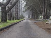 California Nature Landscape: Pacific Coast Highway