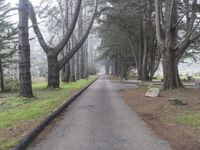 California Nature Landscape: Pacific Coast Highway