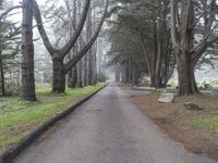 California Nature Landscape: Pacific Coast Highway