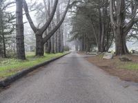 California Nature Landscape: Pacific Coast Highway