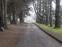 California Nature Landscape: Pacific Coast Highway