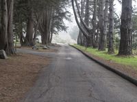 California Nature Landscape: Pacific Coast Highway