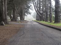 California Nature Landscape: Pacific Coast Highway