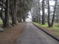 California Nature Landscape: Pacific Coast Highway