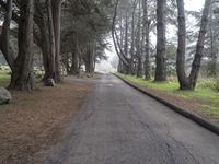 California Nature Landscape: Pacific Coast Highway