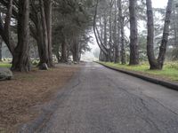 California Nature Landscape: Pacific Coast Highway