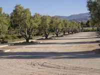 a road lined with lots of trees on both sides of it near a river surrounded by hills