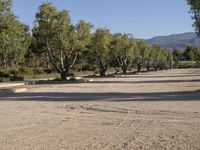 a road lined with lots of trees on both sides of it near a river surrounded by hills