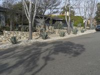 California Neighborhood Landscapes - Residential