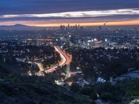 the los skyline and freeway in the distance at twilight from a hilltop overlooking the city