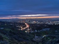 the los skyline and freeway in the distance at twilight from a hilltop overlooking the city