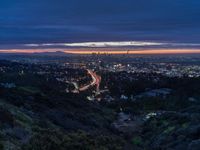 the los skyline and freeway in the distance at twilight from a hilltop overlooking the city