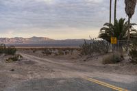 California Off Road Track Nature with Palm Trees 001