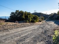 an empty dirt road with green brush and bushes in the background, and blue sky above