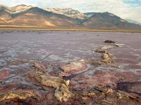 large puddles of water in a big flat, red area with high mountains in the distance