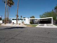 California's Palm Tree-Lined Road: Exploring the USA's Sonora Desert