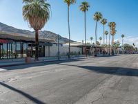 California Palm Trees and Mid-Century Storefronts