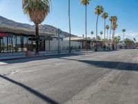 California Palm Trees and Mid-Century Storefronts