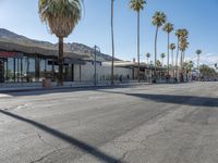 California Palm Trees and Mid-Century Storefronts