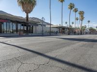 California Palm Trees and Mid-Century Storefronts