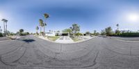 the view from a street looking into a road showing many parking spaces and some palm trees