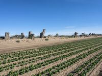 California Plains: Clear Sky and a Field